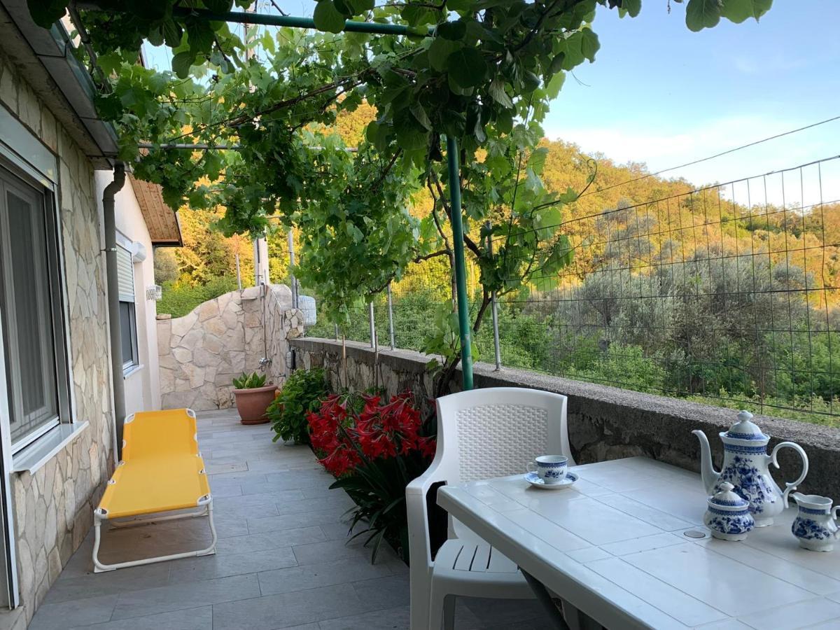Apartments Mirian Petrovac Exterior photo