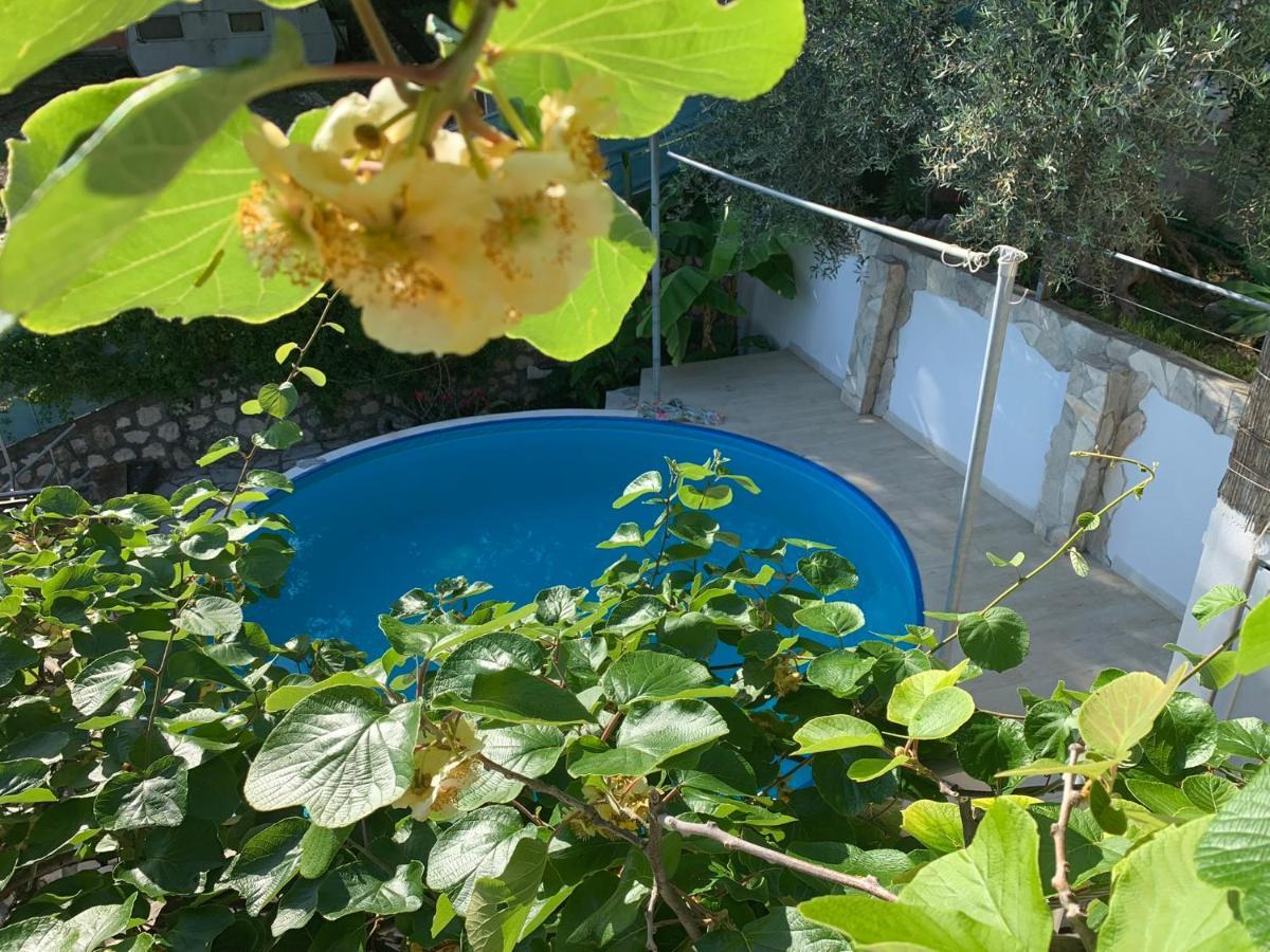 Apartments Mirian Petrovac Exterior photo