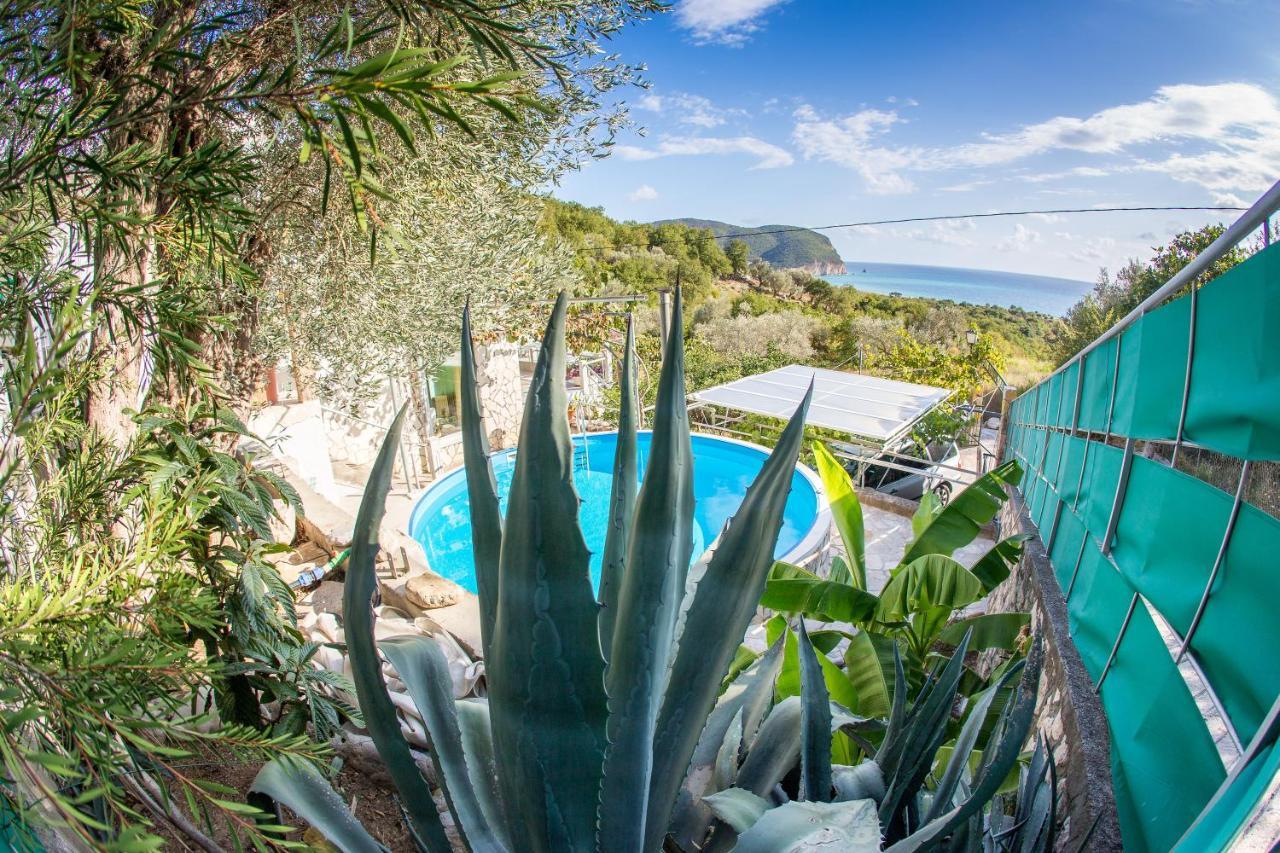 Apartments Mirian Petrovac Exterior photo